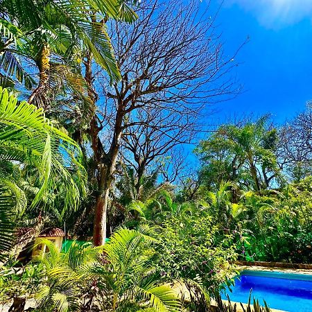 Pacifica Surf Studios Playa Santa Teresa  Dış mekan fotoğraf